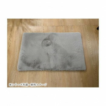 ※代引き不可 同梱不可※北海道、沖縄、離島送料は別途お見積り。※手配完了後は、ご注文キャンセルを承る事が出来ません。指定日可能の表示以外の商品はご指定日不可です。メーカーより取り寄せ商品のため、在庫状況によっては欠品・廃盤の可能性があります。あらかじめご了承ください。手触りが非常に柔らかく、いつまでも触れていたくなるラグです。超極細のポリエステル繊維を使用しており、繊維長の長いマイクロファイバー繊維の特徴で、遊び毛が出にくく清潔にご使用いただけます。※商品画像はできる限り実物の色に近づけるようにしておりますが、撮影環境、お部屋の照明等により実際の商品と色味が異なる場合がございます。サイズ50×80cm個装サイズ：50×40×3cm重量個装重量：500g素材・材質表:ポリエステル100%(ボア織)裏:綿布生産国中国・広告文責（有限会社パルス・048-551-7965）fk094igrjs