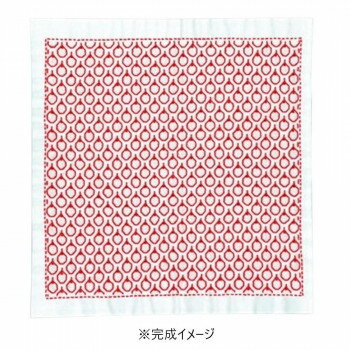 オリムパス 刺し子キット 花ふきん りんご SK-357【お寄せ品、返品キャンセル不可。欠品終売時連絡あり】