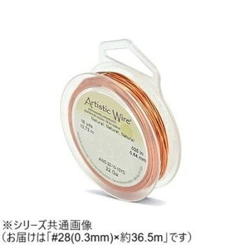 【メール便】 AW ワイヤー（オールドスプールス） ナチュラル28(0.3Φ) 28（0.3mm）約36.5m【お寄せ品、返品キャンセル不可。欠品終売時連絡あり】