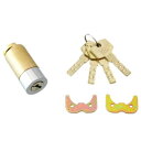 HDS-RA SEPA取替シリンダーRA 4本キー 00776778-001【お寄せ品、返品キャンセル不可。欠品終売時連絡あり】