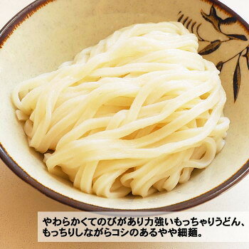 ヘルシー救急BOXの【直送品】箱入 時とまるudon うどん(2食) PB-192 ×32個セット【お寄せ品、返品キャンセル不可。欠品終売時連絡あり】｜アングル3