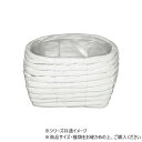 MHオーバル ホワイト 22×17×H13 7700014WH【お寄せ品、返品キャンセル不可。欠品終売時連絡あり】