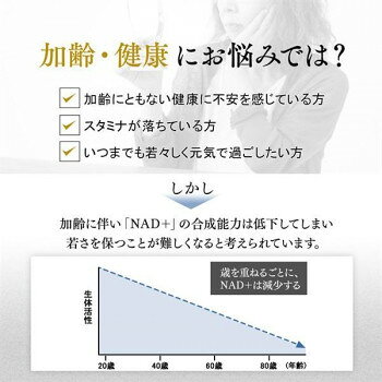 NMN サプリ ファインNMN 120粒 日本製 エイジングケア【お寄せ品、返品キャンセル不可。欠品終売時連絡あり】 parusu-11703479 ヘルシー救急BOX サンプル画像3