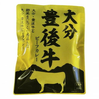 【直送品】南光物産 大分豊後牛ビーフカレー 160g×30個【お寄せ品、返品キャンセル不可。欠品終売時連絡あり】