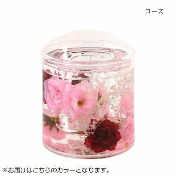 アクリル綿棒立て ローズ 30120951015【お寄せ品、返品キャンセル不可。欠品終売時連絡あり】 アクリル綿棒立て ローズ 30120951015【お寄せ品、返品キャンセル不可。欠品終売時連絡あり】
