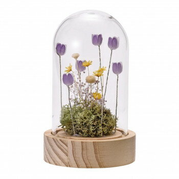 LED�ե�����󥸥ɡ��� M �ѡ��ץ� 57m1007500002�ڤ����ʡ����ʥ���󥻥��Բġ����ʽ����Ϣ�������