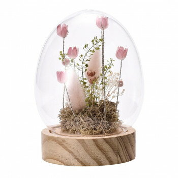 LED�ե�����󥸥ɡ���(���ޤ���) M �ԥ� 57m2008300002�ڤ����ʡ����ʥ���󥻥��Բġ����ʽ����Ϣ�������