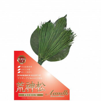 【メール便】 A＆K 日本製プリザーブド プレミアム荒神松 丹波産高級椿葉使用 SSサイズ CK-008SS【お寄せ品、返品キャンセル不可。欠品終売時連絡あり】