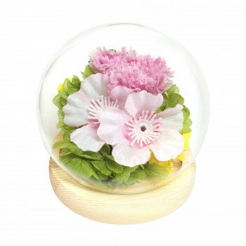 お供え用(仏花)　四季スフィア　プリザーブドフラワー　春　サクラ　C38201【お寄せ品、返品キャンセル不可。欠品終売時連絡あり】