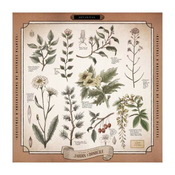 �ե��֥�å��ѥͥ� SQ �ܥ��˥��� 167136�ڤ����ʡ����ʥ���󥻥��Բġ����ʽ����Ϣ�������