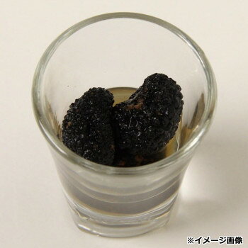 【直送品】アクワラーニャタルトゥフィ サマートリュフ(黒トリュフ)ホール 18g 3個セット 151006【お寄せ品、返品キャンセル不可。欠品終売時連絡あり】 parusu-11712746 ヘルシー救急BOX サンプル画像3
