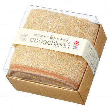 cocochiena 塼II ե1  CE-1022ڤʡʥ󥻥ԲġʽϢ