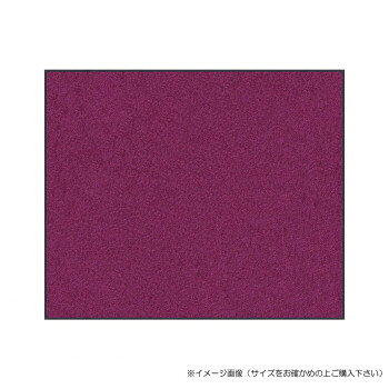 ※代引き不可 同梱不可※北海道、沖縄、離島送料は別途お見積り。※手配完了後は、ご注文キャンセルを承る事が出来ません。指定日可能の表示以外の商品はご指定日不可です。メーカーより取り寄せ商品のため、在庫状況によっては欠品・廃盤の可能性があります。あらかじめご了承ください。除塵・吸水性能に優れた万能タイプの玄関マット。屋外・屋内いずれでも使えて、業務用から家庭用まで幅広くご使用頂けます。マット裏面に柔軟性の高いラバーを採用、ズレやたくれが発生しにくい設計です。※モニターの種類やパソコンの環境により、実際の商品のお色と若干異なる場合がございます。サイズ45×75cm個装サイズ：6×6×46cm重量870g個装重量：870g素材・材質表 : ポリエステル100%、裏 : 特殊合成ゴム(NBR)付属品取扱説明書生産国日本・広告文責（有限会社パルス・048-551-7965）fk094igrjs