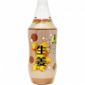 【直送品】北川村ゆず王国　生姜茶　つぶつぶ生姜　480g　12個セット　20040【お寄せ品、返品キャンセル不可。欠品終売時連絡あり】