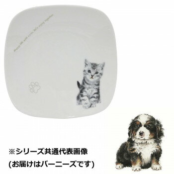 わんコレ スクエアプレート(大) バーニーズ wa-psql-S6【お寄せ品、返品キャンセル不可。欠品終売時連絡あり】