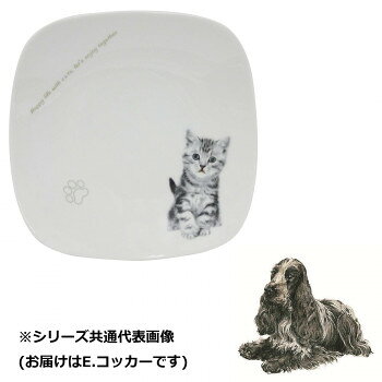 わんコレ スクエアプレート(大) E.コッカー wa-psql-S11【お寄せ品、返品キャンセル不可。欠品終売時連絡あり】