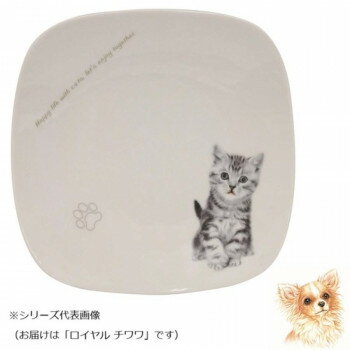 わんコレ スクエアプレート(大) ロイヤル チワワ wa-psql-G5【お寄せ品、返品キャンセル不可。欠品終売時連絡あり】