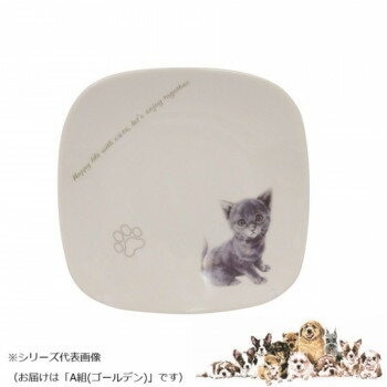 わんコレ スクエアプレート(小) A組(ゴールデン) wa-psqs-S30【お寄せ品、返品キャンセル不可。欠品終..