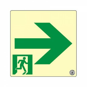 【メール便】 エルティーアイ　消防認定品 S級　高輝度蓄光式誘導標識　スタンダード 右矢印 SSN561【お寄せ品、返品キャンセル不可。欠品終売時連絡あり】