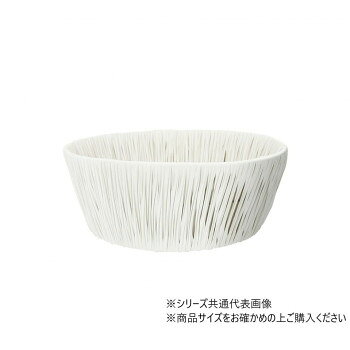 大橋新治商店 ホワイトシルフ寄せサークルL 23-967【お寄せ品、返品キャンセル不可。欠品終売時連絡あり】
