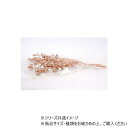 RMブラックベリー コッパー 6本 8900076【お寄せ品、返品キャンセル不可。欠品終売時連絡あり】