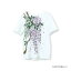 くろちく kurofune Tシャツ藤花 白 F 32412336【お寄せ品、返品キャンセル不可。欠品終売時連絡あり】