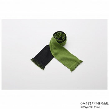 みやざきタオル 今治マフラー イロアソビ 160cm×14cm No.21 アップルグリーン【お寄せ品、返品キャンセル不可。欠品終売時連絡あり】