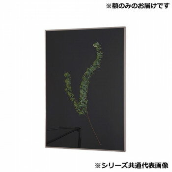 アルナ 額縁 シンプル ALUMIUM RIM マットシルバー B3 16686【お寄せ品、返品キャンセル不可。欠品終売時連絡あり】