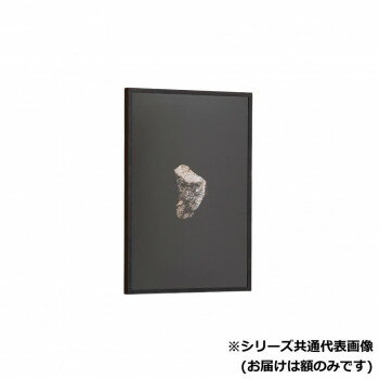 【メーカー直送（大型）】アルナ　アクリル付 FW-宗達 小全紙(659X509) 968【お寄せ品、返品キャンセル不可。欠品終売時連絡あり】