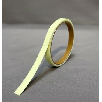 【メール便】 エルティーアイ　超高輝度蓄光テープ　Super α-FLASH 10mm幅×1m巻　SAF1001【お寄せ品、返品キャンセル不可。欠品終売時連絡あり】