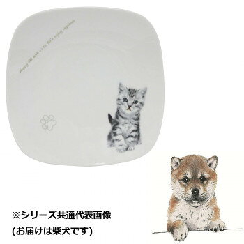わんコレスクエアプレート柴犬wa-...