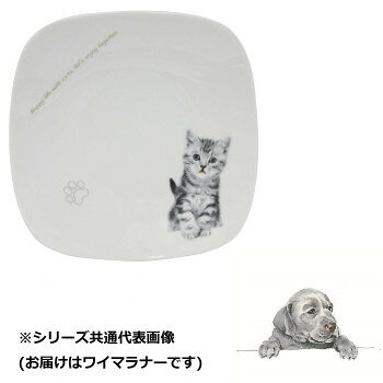 わんコレ スクエアプレート(大) ワイマラナー wa-psql-S18【お寄せ品、返品キャンセル不可。欠品終売時連絡あり】
