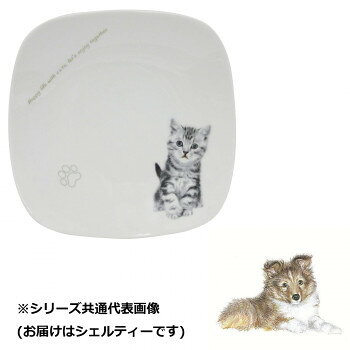 わんコレ スクエアプレート(大) シェルティー wa-psql-S21【お寄せ品、返品キャンセル不可。欠品終売時連絡あり】