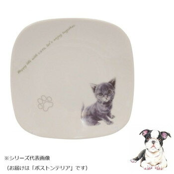 わんコレ スクエアプレート(小) ボストンテリア wa-psqs-S36【お寄せ品、返品キャンセル不可。欠品終売時連絡あり】