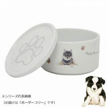 ��󥳥� �����å���SET(��) �ܡ��������꡼ wa-se100-S24�ڤ����ʡ����ʥ���󥻥��Բġ����ʽ����Ϣ�������