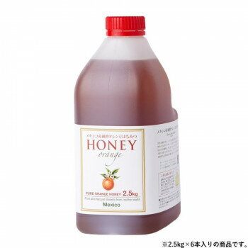 【直送品】クインビーガーデン メキシコ産純粋オレンジはちみつ 2.5kg×6本【お寄せ品、返品キャン ...