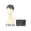 プリシラ 男性用5分ウィッグ レイヤーショート 耐熱 ダークグレイヘア GB-22-TDGH【お寄せ品、返品キャンセル不可。欠品終売時連絡あり】