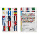 【メール便】 東京カートグラフィック レジャーシート「世界の国旗一覧」 LSWF【お寄せ品、返品キャンセル不可。欠品終売時連絡あり】