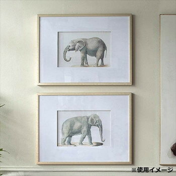 【メーカー直送(大型)】ヴィヴィアン 額絵・ゾウ 85318PI【お寄せ品、返品キャンセル不可。欠品終売時連絡あり】 [3]