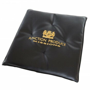 ジャンクションレザーシングルクッション BK/GO 034119【お寄せ品、返品キャンセル不可。欠品終売時連絡あり】