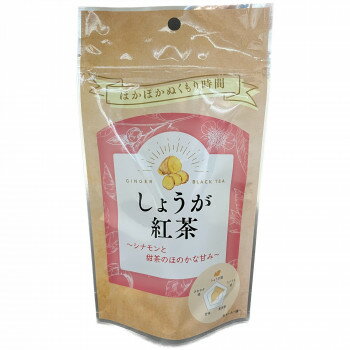 【直送品】ゼンヤクノー フェムケアシリーズ しょうが紅茶 ティーバッグ 10g(1g×10包) 005350 ×20袋セット【お寄せ品、返品キャンセル不可。欠品終売時連絡あり】