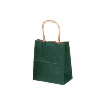 タカ印 手提げ袋 緑 10P 50-6911 10枚【お寄せ品、返品キャンセル不可。欠品終売時連絡あり】