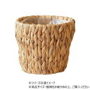 PPアミアミポット 4号 7600034【お寄せ品、返品キャンセル不可。欠品終売時連絡あり】