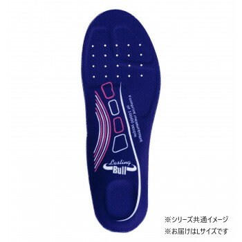 福山ゴム工業　インソール ラスティングブル インソール 2020 L ブルー（品番：LA16800）【お寄せ品、返品キャンセル不可。欠品終売時連絡あり】