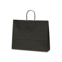 自動紐手提袋 T-Y カラー(カカオ) 1542 50枚【お寄せ品、返品キャンセル不可。欠品終売時連絡あり】
