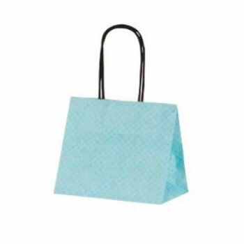 ハンディーバッグ テミニン手提袋 ベビーブルー 1469 10枚【お寄せ品、返品キャンセル不可。欠品終売時..
