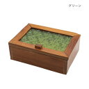 ウッド&エンボスガラス ボックスM グリーン 10724811379【お寄せ品、返品キャンセル不可。欠品終売時連絡あり】