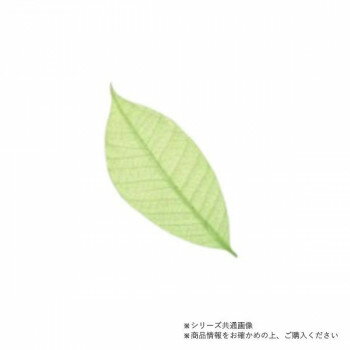 ※代引き不可 同梱不可※北海道、沖縄、離島送料は別途お見積り。※手配完了後は、ご注文キャンセルを承る事が出来ません。指定日可能の表示以外の商品はご指定日不可です。メーカーより取り寄せ商品のため、在庫状況によっては欠品・廃盤の可能性があります。あらかじめご了承ください。お料理やデザートを華やかに演出します。※カラースカシ木の葉は、水分を含むと食品添加物着色料が溶出する場合がありますが、人体に影響はありません。サイズ約16cm個装サイズ：20×12×2cm重量個装重量：20g素材・材質ゴムの木の葉セット内容50枚入生産国本体:タイ/加工:日本・広告文責（有限会社パルス・048-551-7965）fk094igrjs