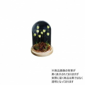Flower glass dome フラワーガラスドーム 41401【お寄せ品、返品キャンセル不可。欠品終売時連絡あり】