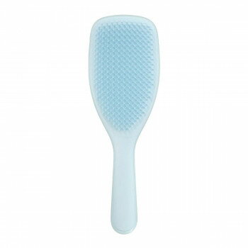 Brushes, Combs - タングルティーザー ザ・ウェット ディタングラーPro ヘアブラシ アクアブルー (0038939)【お寄せ品、返品キャンセル不可。欠品終売時連絡あり】